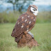 Wildcrete Eagle Owl
